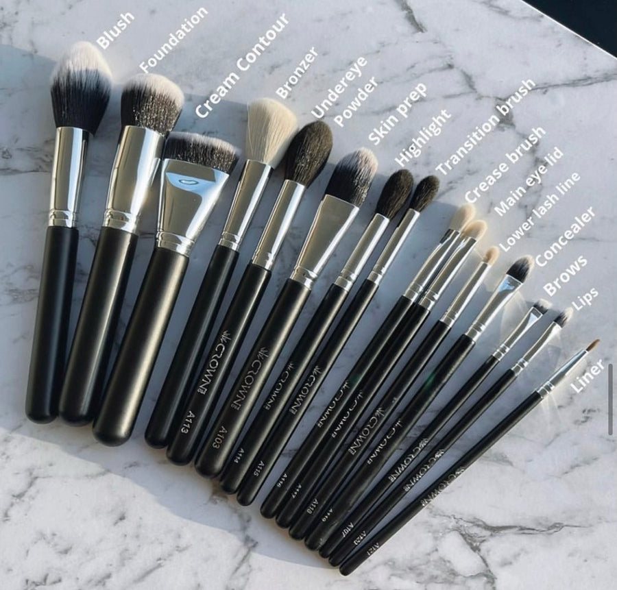 15 Piece Make Up Brush Set and Bag